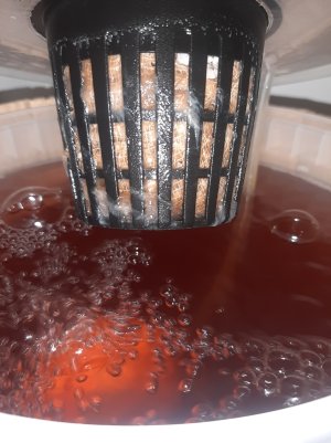 20250415_125527.jpg