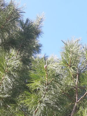 20250518_221000.jpg