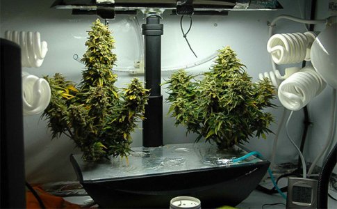 soberite-grouboks-svoimi-rukami__XQdamQJp7VmmCVb2.jpg