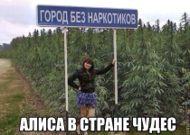 IMG_0047.png