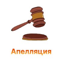 apellyaciya-100.jpg