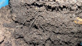 photo_2025-09-29_10-59-16 (2).jpg