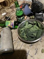 IMG_1065.jpeg