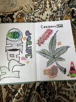 IMG_1063.jpeg