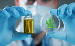 opredelenie-koncentracii-terpenov__xnuk4rlb1MYoecrI.jpg
