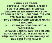 20416231.jpg
