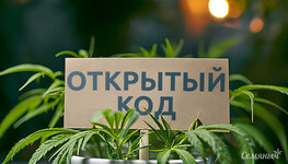 selekciya-s-otkrytym-kodom__M02gfPrQMLYrtK8l.jpg