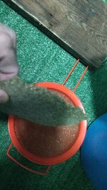 IMG_20260116_173027.jpg