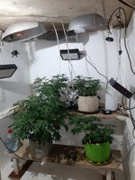 20260121_090857.jpg