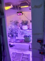 20260121_090827.jpg