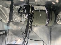 IMG_9636.jpeg