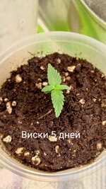 1000111225.jpg
