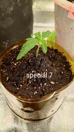 1000114313.jpg