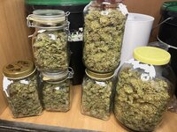 9 — копия — копия.JPG