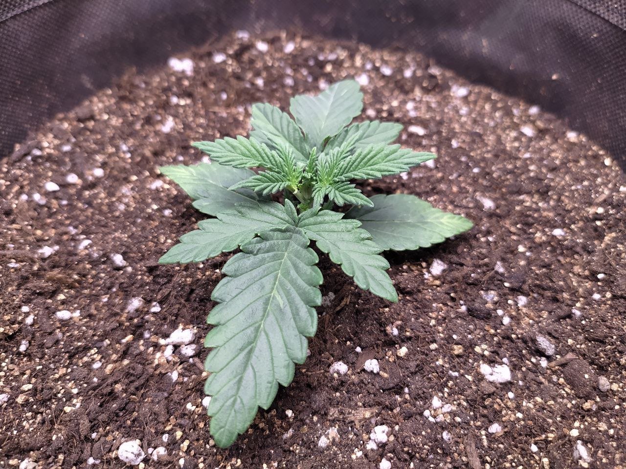 photo3 — копия.jpg