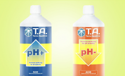 PH Up:D.png