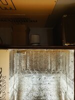 IMG_20261011_180703_321.jpg