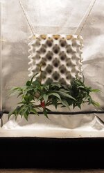 PA242424.JPG