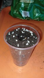 IMG_20261027_084723_795.jpg