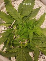 936.jpg