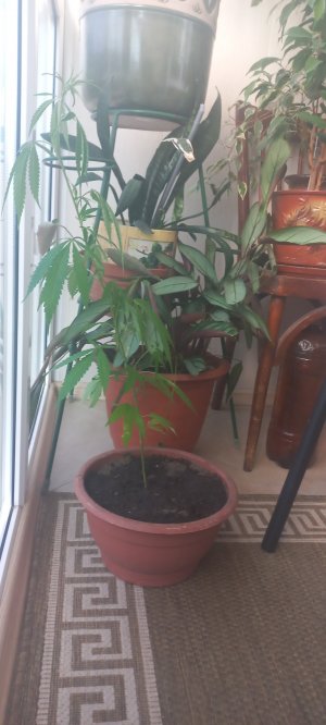 20220807_075310.jpg