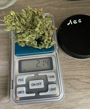 16.09.22.jpeg