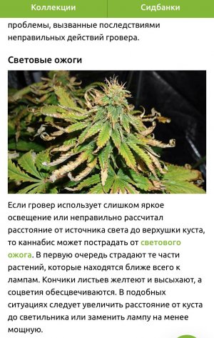 CD8CE101-6B69-4BB5-8882-8CED89E7A860.jpeg