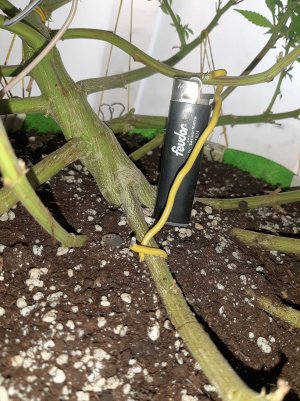 20221028_095403.jpg