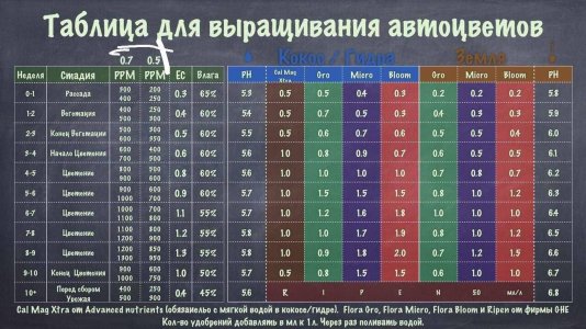 33AFE95B-4BA6-435C-AE7B-89666C46DACC.jpeg