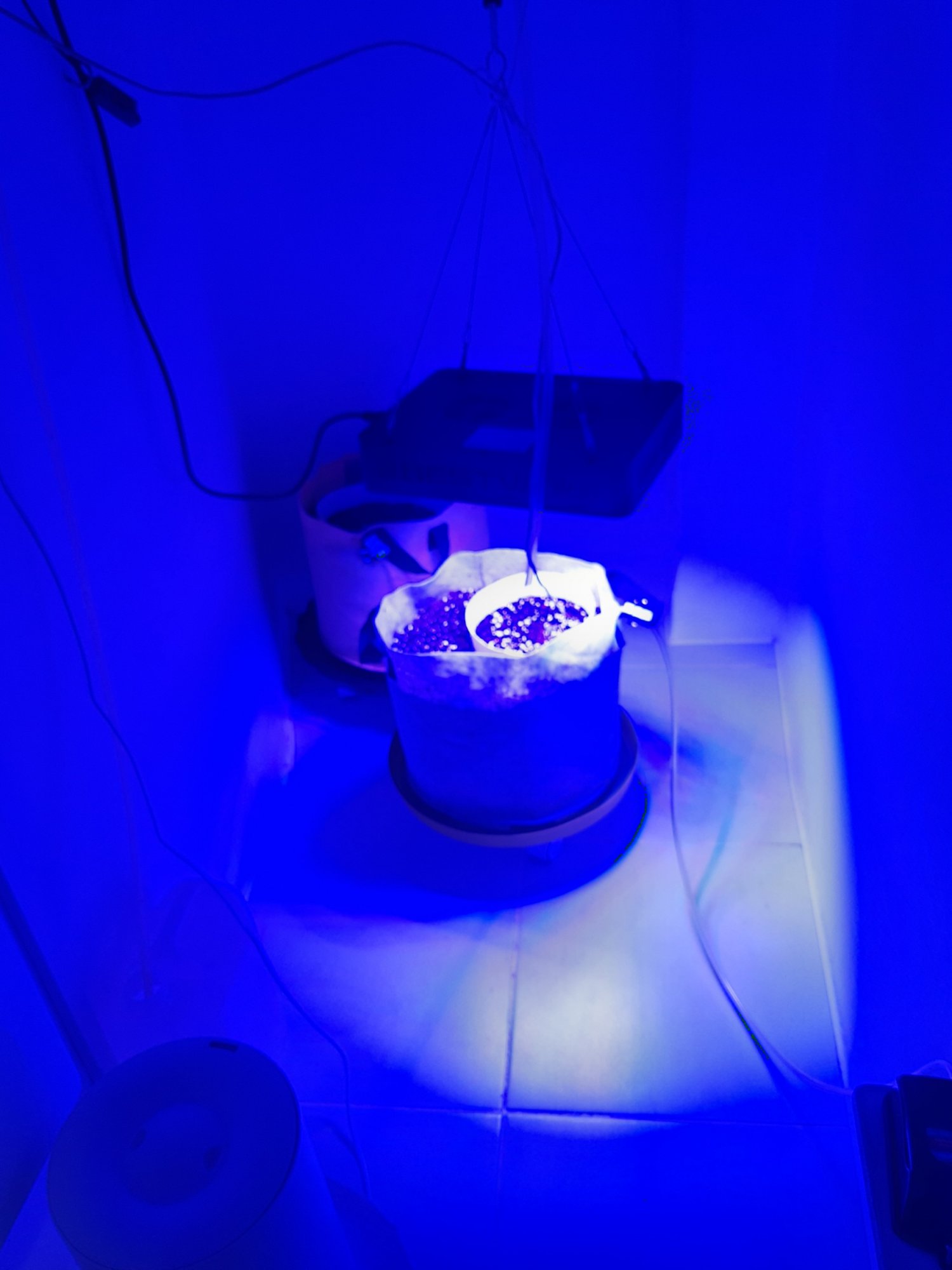 20230412_084343.jpg