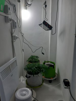 20230504_182906.jpg