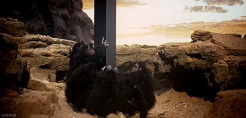 938454_original.gif 938454_original.gif