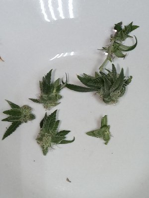 mir_20230526_215214.jpg