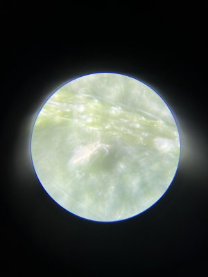 113EE769-61B0-41C6-85CC-013280D479F2.jpeg