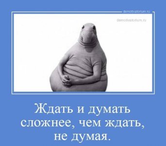 IMG_6938.jpeg