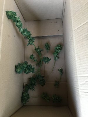 E0F1B215-7288-43F7-98B6-068A9F3C7CE2.jpeg