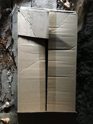 8E79B20E-D26E-4827-AB0D-A4ED0384DB26.jpeg