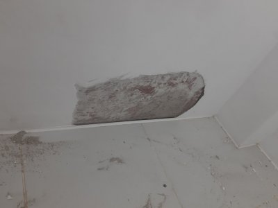 20230919_201813.jpg