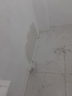 20230919_201905.jpg
