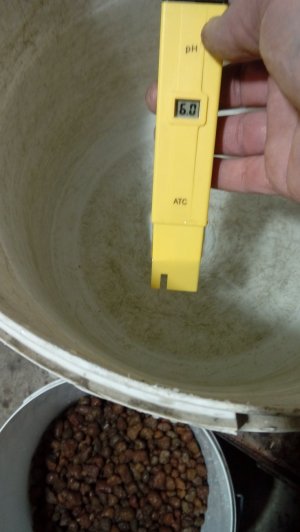 20220121_082903.jpg