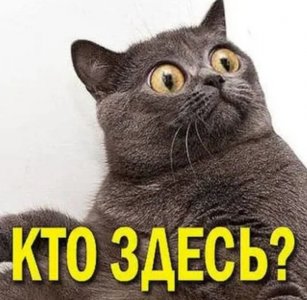 IMG_5227.jpeg