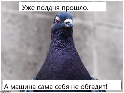 620x466_0xac120003_3915511791622728419.jpg