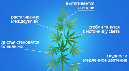 1726597747565.png
